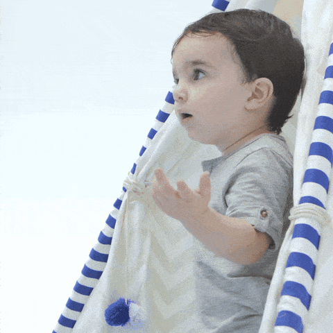 giphy.gif