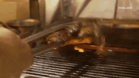 giphy.gif