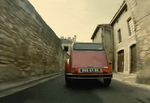 giphy.gif