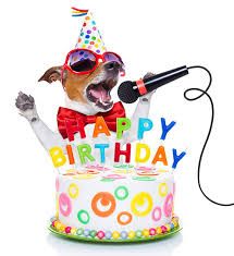 HappyBirthdayDrumcats.jpg