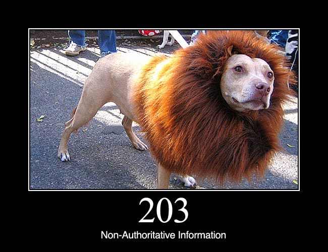 httpstatusdogs.com_wp_content_uploads_2011_12_2031.jpg