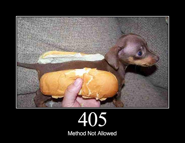 httpstatusdogs.com_wp_content_uploads_2011_12_405.jpg