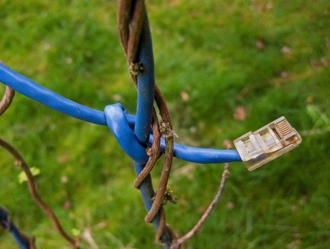 i.blogs.es_4d9fd4_cable_ethernet_650_1200.jpg