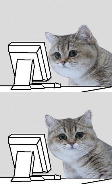 i.imgur.com_jUS4TiHl.jpg