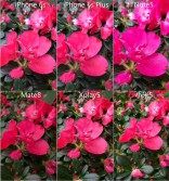 i1.wp.com_gizchina.es_wp_content_uploads_2016_03_xiaomi_mi_5_v77947921092d49783760a03f08b4c8a0.jpg