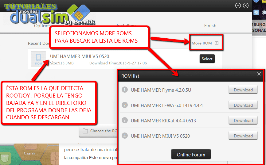 i1229.photobucket.com_albums_ee479_imput1_TUTORIALES_UMI_20Rootjoy_26_001_result_zpssyy1pcrn.png