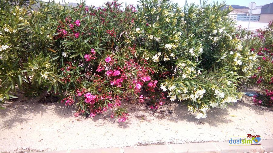 i1229.photobucket.com_albums_ee479_imput1_UMI_20HAMMER_Fotos_229934c72edbbb3434653ff2b93797f0e.jpg