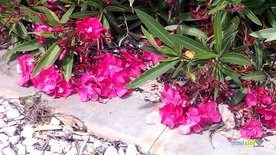 i1229.photobucket.com_albums_ee479_imput1_UMI_20HAMMER_Fotos_265e4a66f0ba65504d10b223500ede6ee.jpg