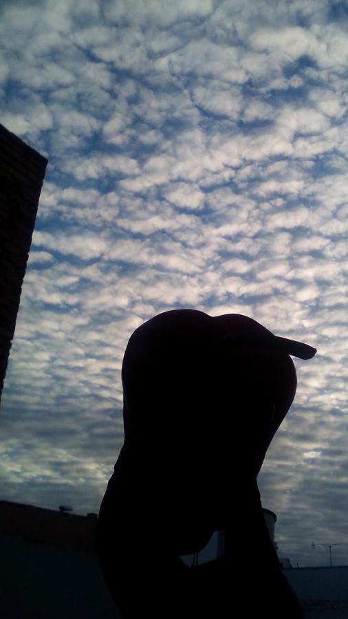 i1307.photobucket.com_albums_s596_xupadino_IMG_20150111_005220_zpsa2166890.jpg