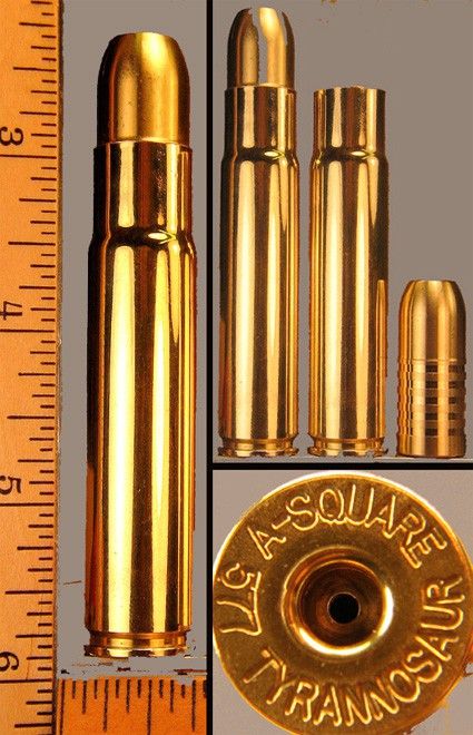 i406.photobucket.com_albums_pp142_danielocean03_Random_20Gun_20Stuff_577TyrannosaurDummy.jpg