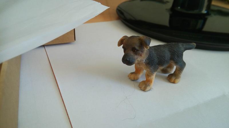 i553.photobucket.com_albums_jj370_komandoribera_dg900perro.jpg