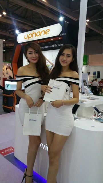 i58.tinypic.com_4sgmfq.jpg