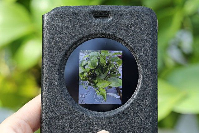 i67.tinypic.com_33w49if.jpg