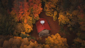 image-2029-300x168.png