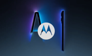 image-2570-300x182.png