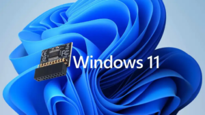 image-2576-300x169.png