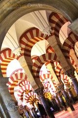 image (5) - copia.jpg