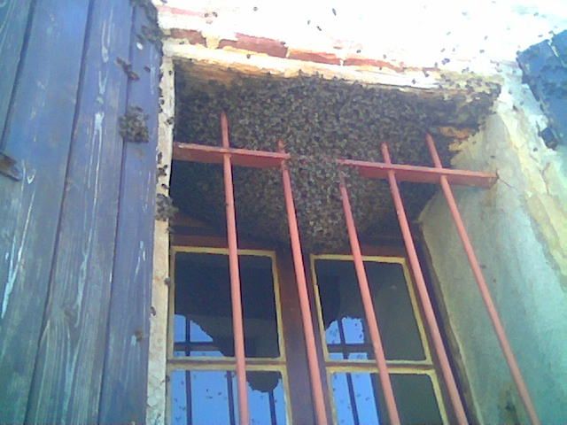 Imagen020.jpg