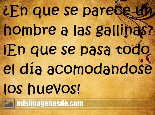 imagenes-de-chistes-graciosos-1.jpg