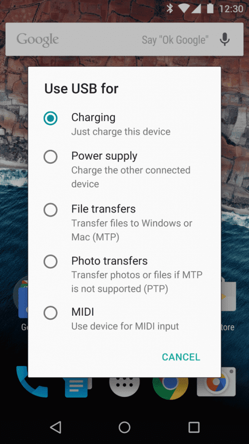 images.fonearena.com_blog_wp_content_uploads_2015_05_USB_Type_C_Android_M_575x1024.png