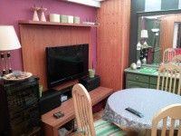 imageshack.us_a_img585_897_vwd7.th.jpg