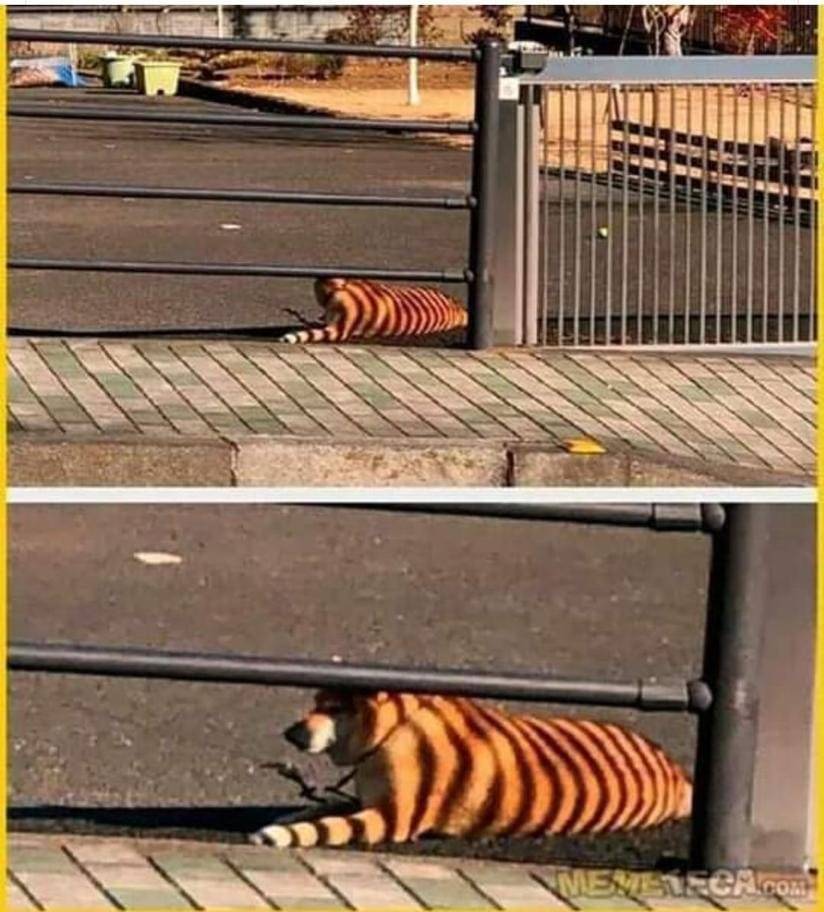IMG-20200923-WA0001.jpg