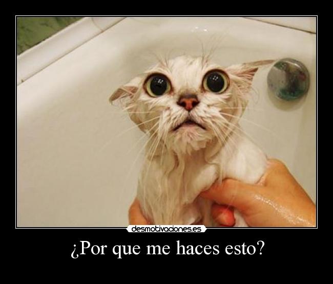 img.desmotivaciones.es_201105_1_492.jpg