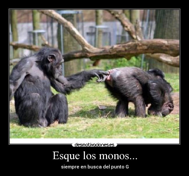 img.desmotivaciones.es_201108_Sinttulo_3324.jpg