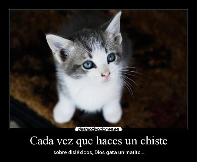 img.desmotivaciones.es_201111_gato9.jpg