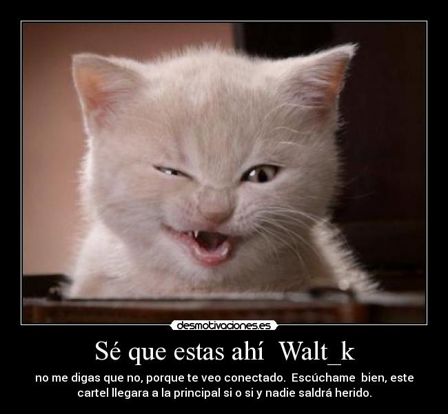 img.desmotivaciones.es_201201_gatomalevolo.jpg