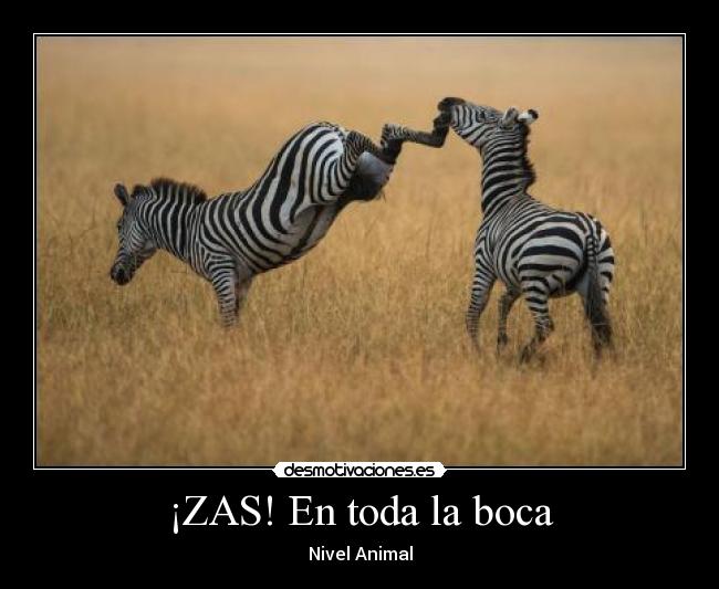img.desmotivaciones.es_201209_2617acb5e0d656659c73b6d8e689eb0bd5cukwt.jpg