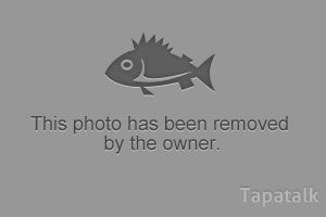 img.tapatalk.com_250e1450_1f99_1121.jpg