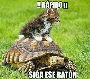 img.tapatalk.com_d_14_08_02_agu3eza4.jpg