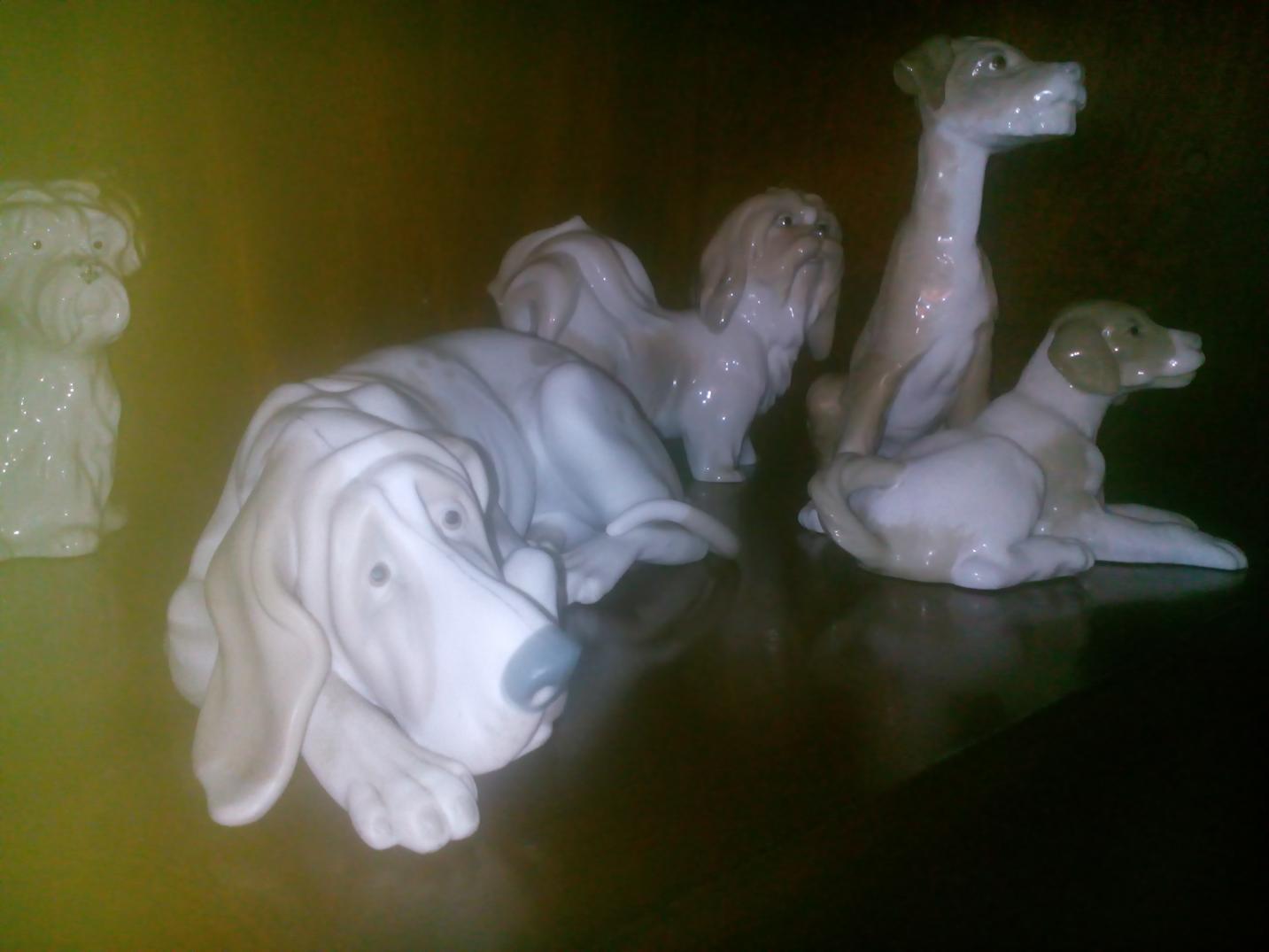 IMG_20130101_022553.jpg