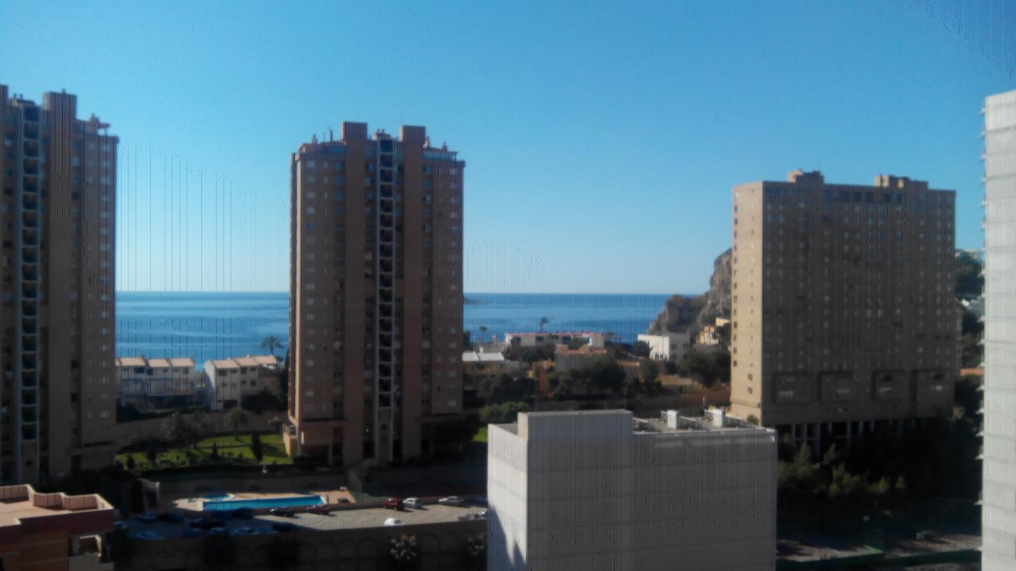 IMG_20130619_092856.jpg