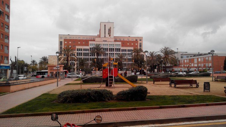IMG_20140321_121245.jpg
