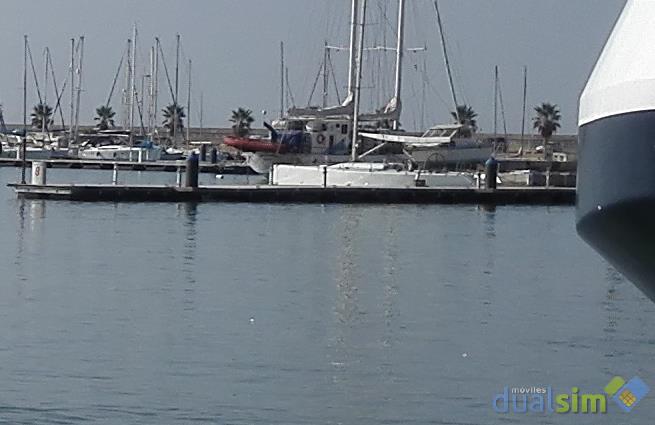 IMG_20140905_10105a.jpg