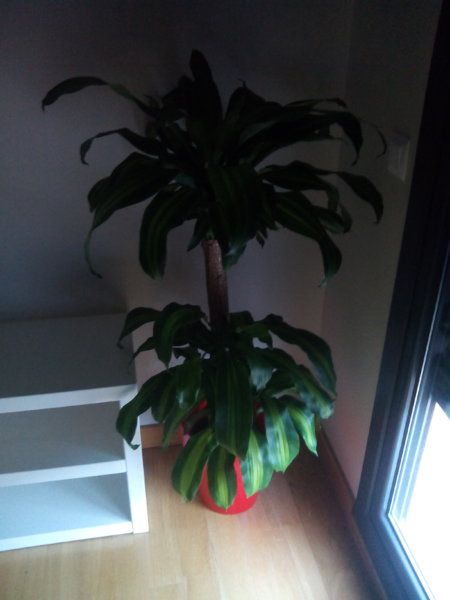 IMG_20141002_005043.jpg