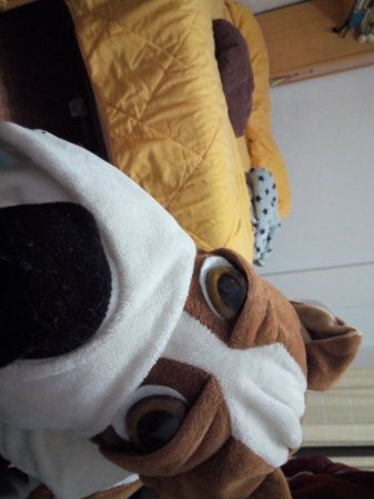 IMG_20150223_193009.jpg