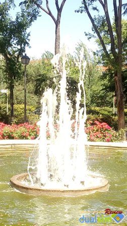 IMG_20150522_120829.jpg