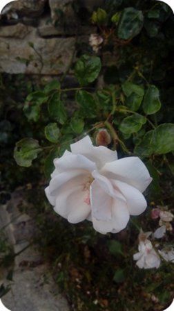 IMG_20150607_193514.jpg