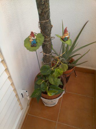 IMG_20150614_124423.jpg