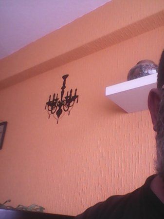 IMG_20151026_122439.jpg