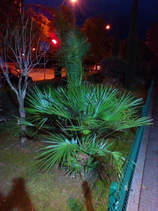 IMG_20160105_193901.jpg