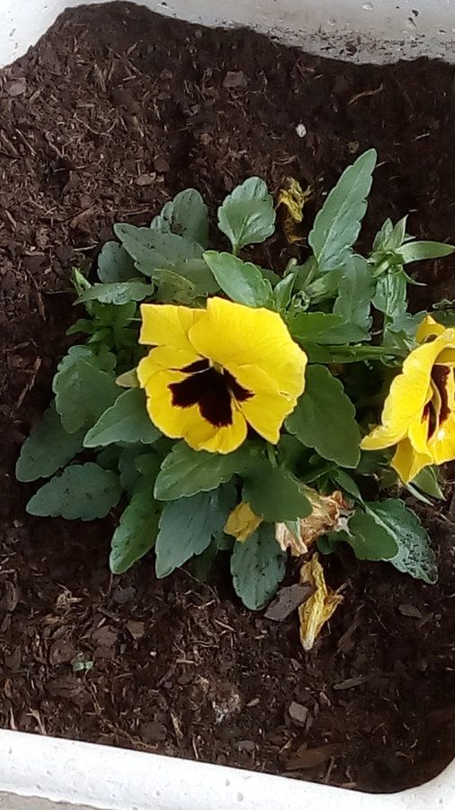 IMG_20160129_130618.jpg