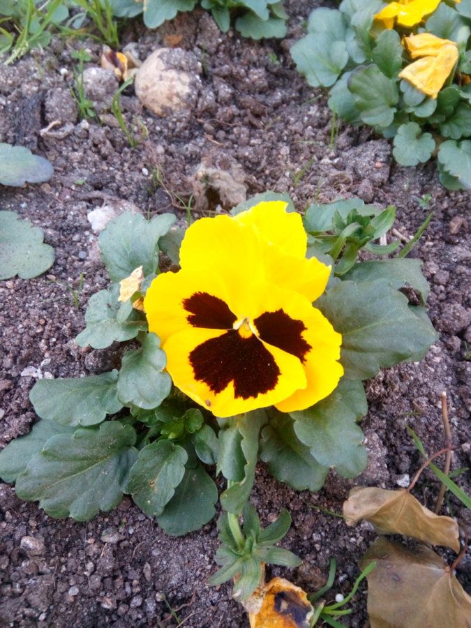 IMG_20160204_091341.jpg