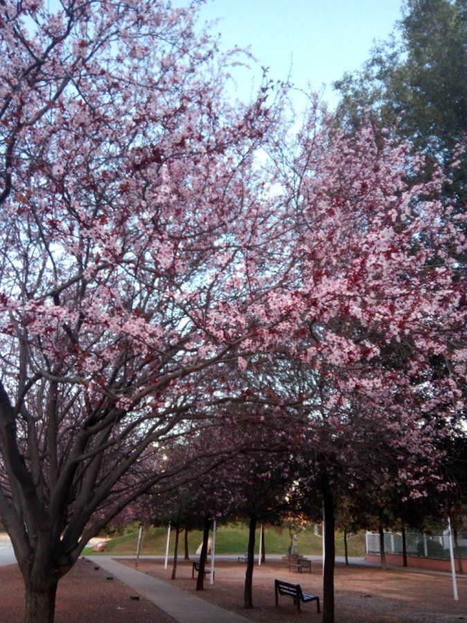 IMG_20160302_181320.jpg