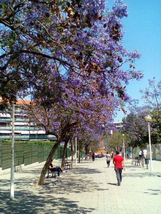 IMG_20160601_150241.jpg