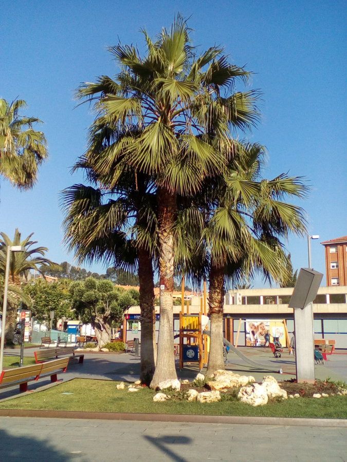 IMG_20160602_090802.jpg