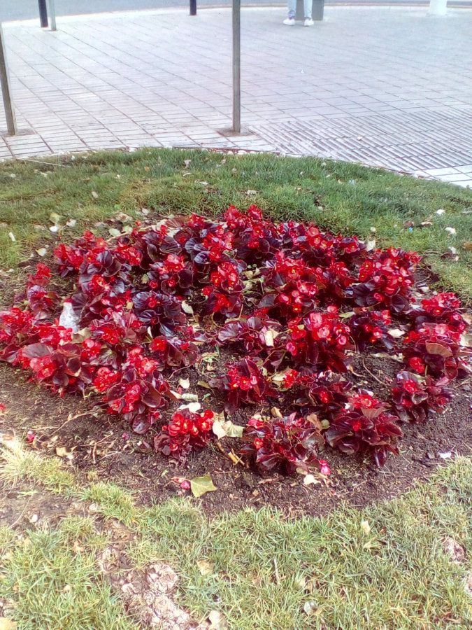 IMG_20160602_091832.jpg